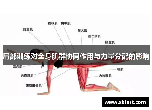 肩部训练对全身肌群协同作用与力量分配的影响